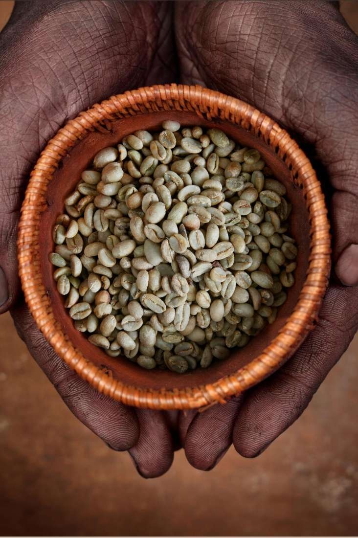 Fasilitas Sortasi Mutu Kopi Bandar Lampung