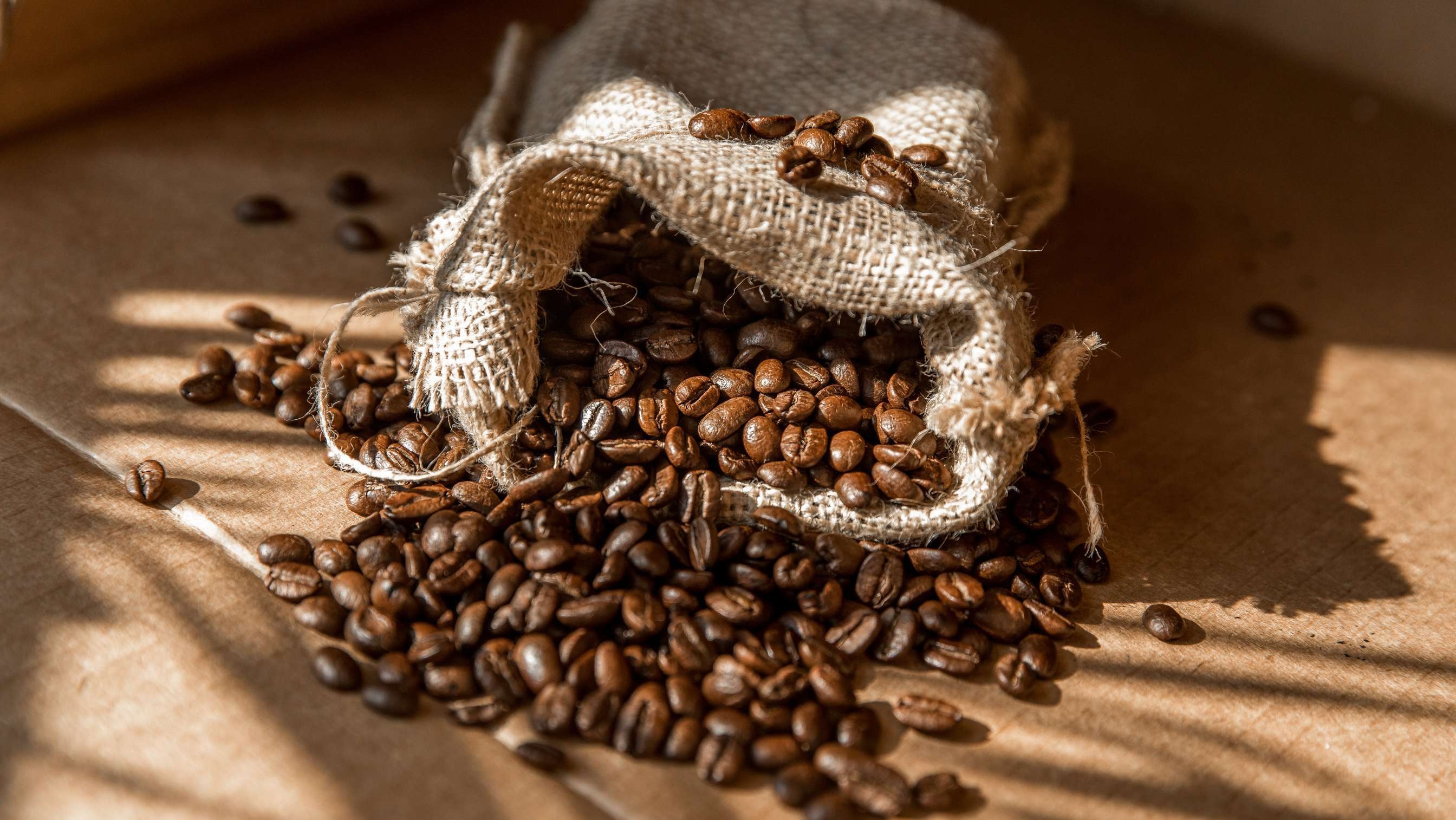Biji Kopi Hijau Indonesia Terpilih