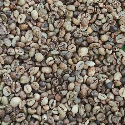 Robusta Defect 80 (Grade 5 Lampung)