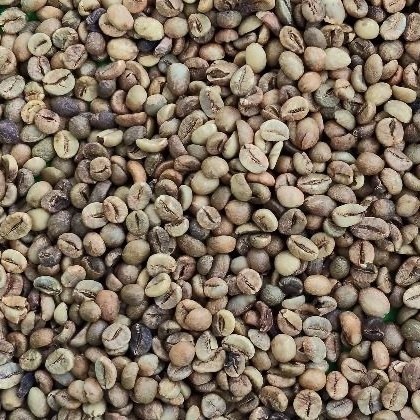 ELB Robusta Pagar Alam (Extra Large Bean)