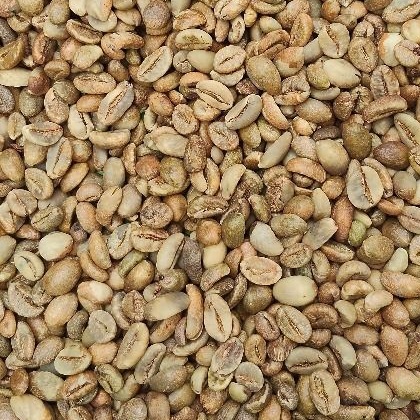 Robusta Lampung Grade 1
