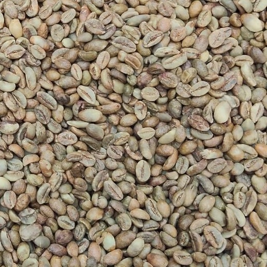 Robusta Lampung Grade 2