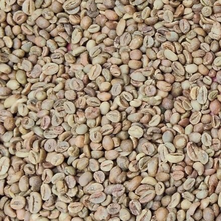 Robusta Lampung Grade 3