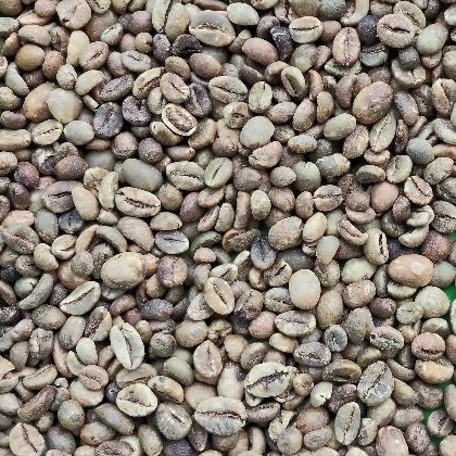 Robusta Lampung Grade 4 Defect 60
