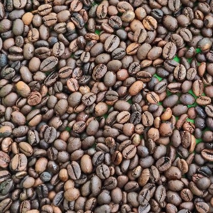 Biji Kopi Sangrai Robusta Lampung